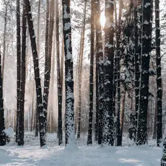  Pamiętniki Wampirów Sezon 5 - Najlepsze Odcinki Całego Sezonu!