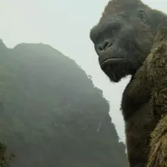 King Kong wyspa czaszki: Wszystkie szczegóły o filmie, które musisz znać