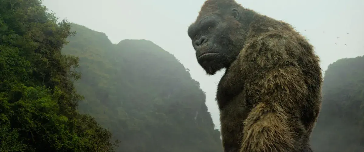 King Kong wyspa czaszki: Wszystkie szczegóły o filmie, które musisz znać